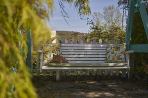 Garden- click for photo gallery